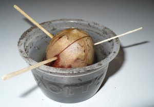 p1070832