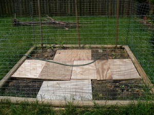 Fenced Garden