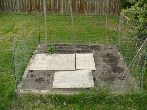 Garden #2